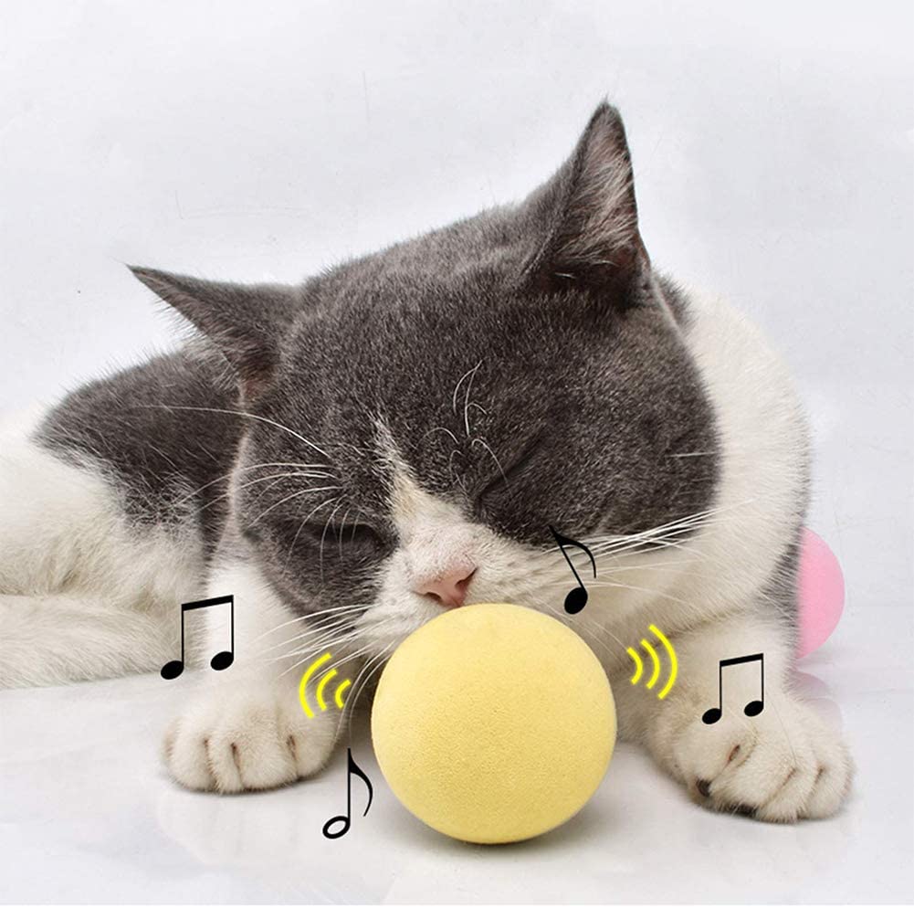 SmartBall™ - Balle intelligente d'apprentissage pour chat - La Minou Shop